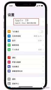 Apple ID密码忘了怎么办