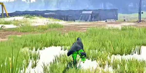 恐龙岛生存模拟手游2