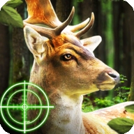 猎鹿动物狩猎