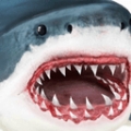 终极鲨鱼攻击