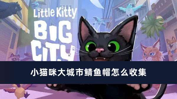 小猫咪大城市鲭鱼帽收集方法推荐