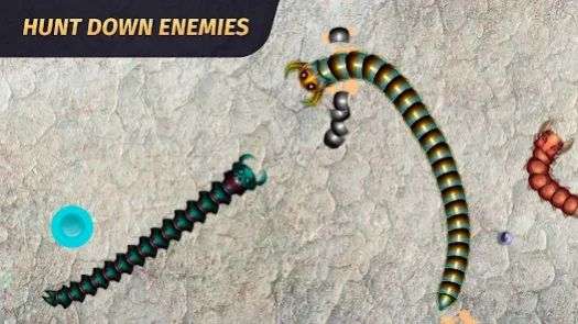 巨蛇蠕虫(Snake Battle)1