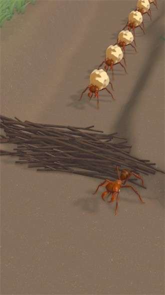蚂蚁建造(Ants Game)1